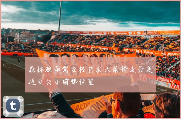 森林狼亟需合格首发大前锋麦丹更适合打小前锋位置