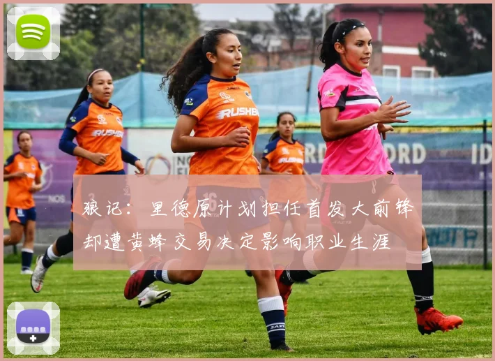 狼记：里德原计划担任首发大前锋却遭黄蜂交易决定影响职业生涯