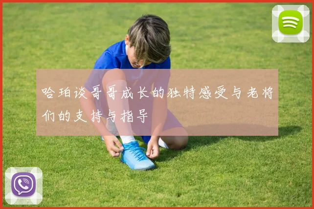 哈珀谈哥哥成长的独特感受与老将们的支持与指导